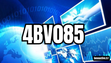 4bv085